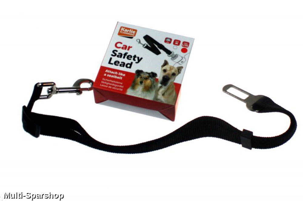 Autosicherheitsgurt sicher gesund